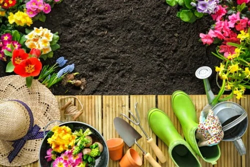 چند روش خانگی برای از بین بردن علف‌های هرز