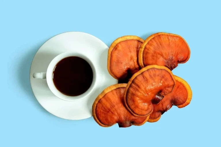 قهوه گانودرما برای چی خوبه