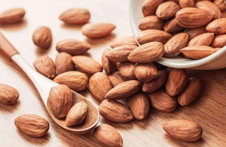 فصل برداشت بادام درختی چه موقع است