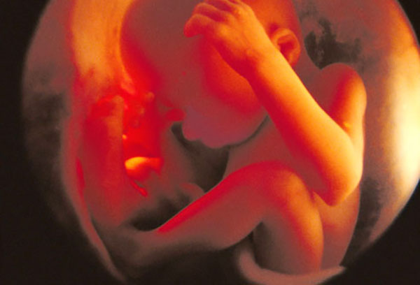 A seven-month-old fetus and its changes in the seventh month of pregnancy