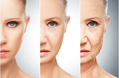 How old is my skin?
