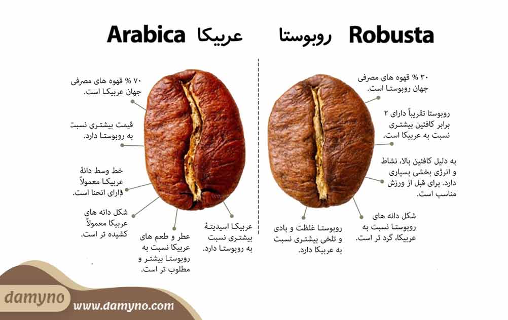 تفاوت قهوه عربیکا و روبوستا چیست؟