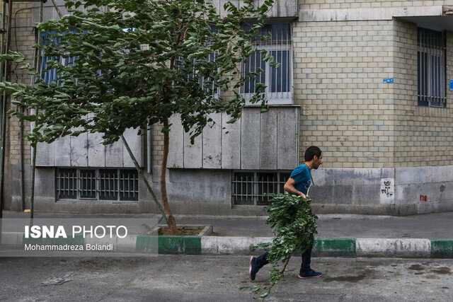 وزش باد و خیزش گرد و خاک در تهران