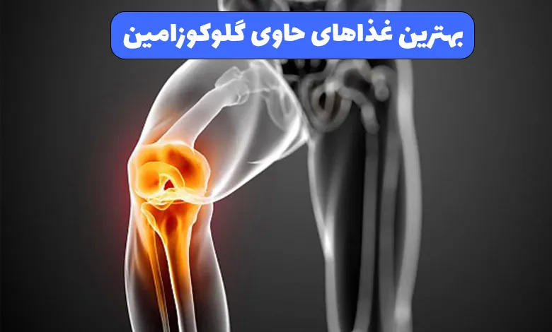  بهترین غذاهای حاوی گلوکوزامین 