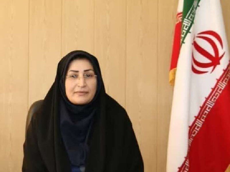 فرماندار روانسر مهمترین چالشهای این شهرستان را تشریح کرد - خبرگزاری مهر | اخبار ایران و جهان